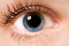 human eye, blue.jpg